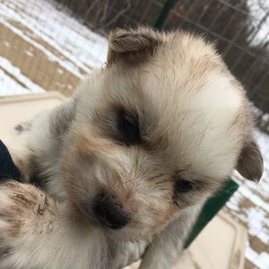 Meet your Posher, Tony